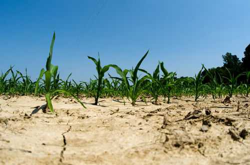 Snow in Rockies but Western drought continues – Preparedness Hub